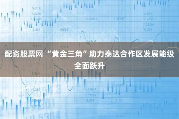 配资股票网 “黄金三角”助力泰达合作区发展能级全面跃升