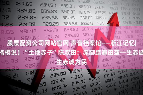 股票配资公司网站官网 声音档案馆——浙江记忆|【听楷模说】“土地赤子”陈双田：赤脚踏遍田垄一生赤诚为民