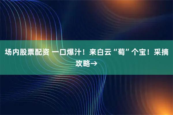 场内股票配资 一口爆汁!来白云“萄”个宝!采摘攻略→